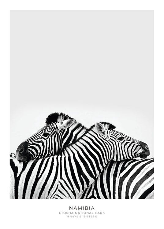 Plakater med zebraer til stilren indretning
