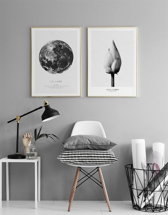 Cuadros en blanco y negro y láminas con motivos estilosos que crean tendencia