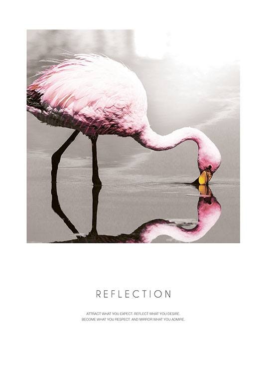 Mooie poster, print met roze flamingo en boodschap
