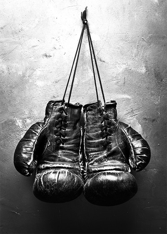 Boxer, Plakat 0