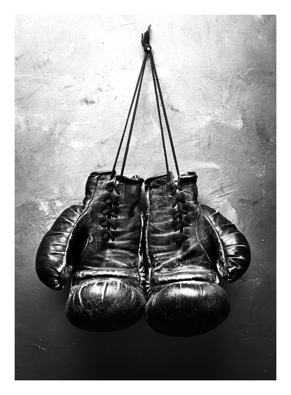 Boxer, Plakat (50x70 cm)- Czarno-białe plakaty
