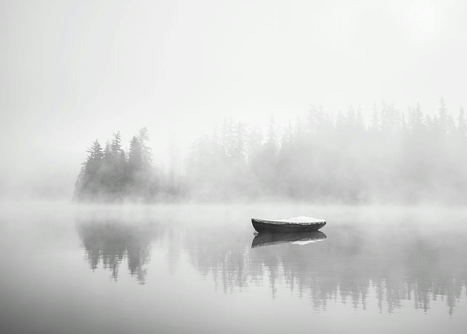 Sort-hvide plakater | Sort-hvid kunst online | Desenio.dk