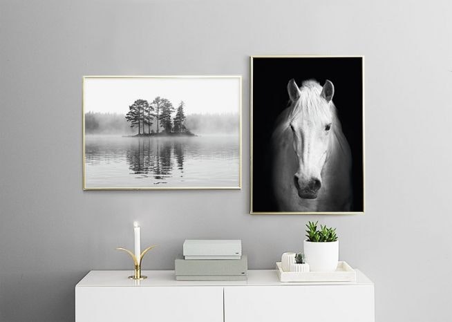 Cuadros en blanco y negro y láminas en línea para un diseño escandinavo