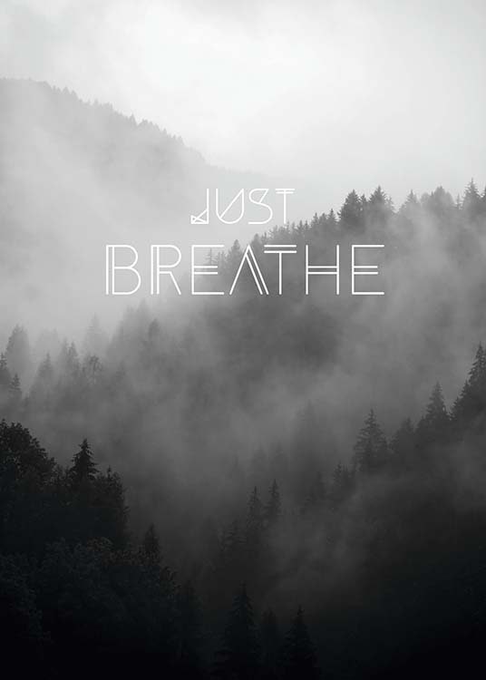 Just Breathe, Juliste 0