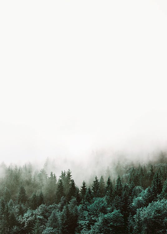 Vakker plakat med skog og natur. Skandinavisk innredning