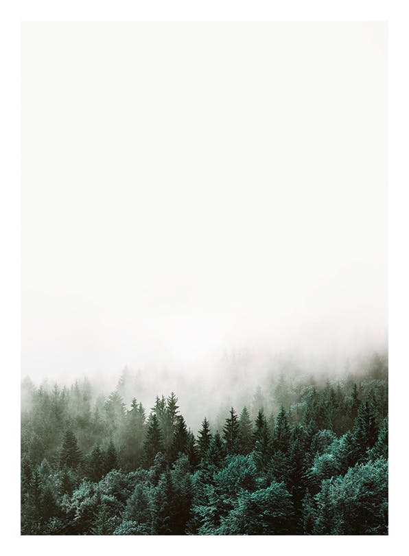 Forest, Poster (50x70 cm) - Natuur posters