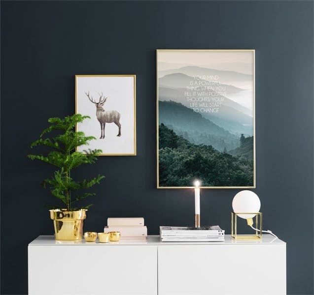 Posters and prints of animals and nature. Photographs of forest and reindeer.
