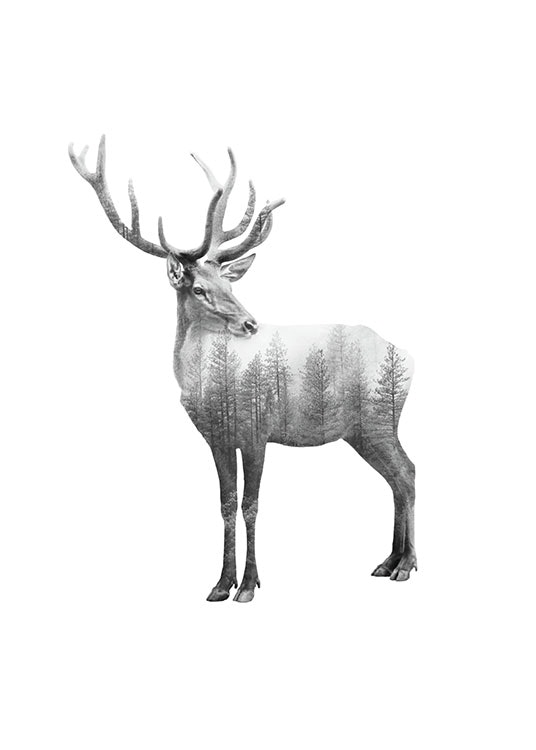 Print of reindeer in black and white. Photograph with double exposure