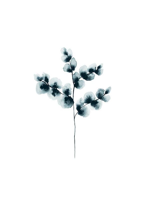 Prints - Cotton Plant Blue, Print (50x70 cm) - Botanical prints