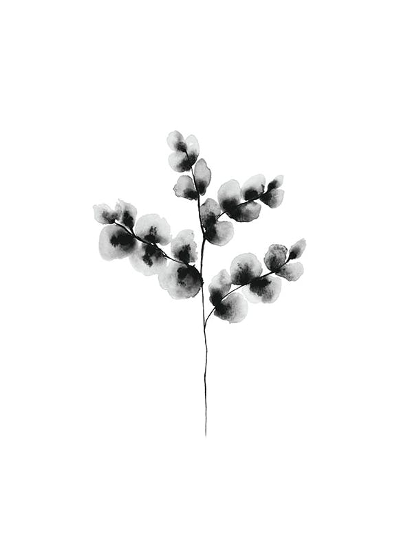 Cotton Plant, Plakat (13x18 cm)- Sztuka