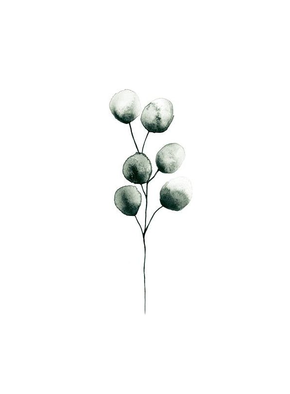 Prints - Eucalyptus Plant, Print (13x18 cm) - Botanical prints