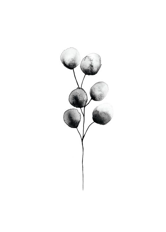 cuadros y láminas en línea con flores en blanco y negro y print en Internet