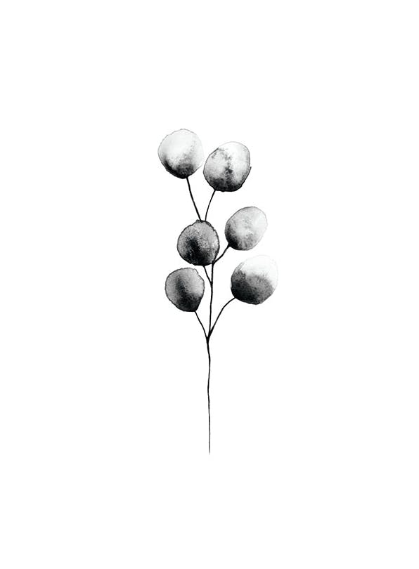 Prints - Eucalyptus Plant Black, Print (13x18 cm) - Art prints