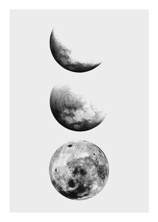 Moon Phase Poster 0