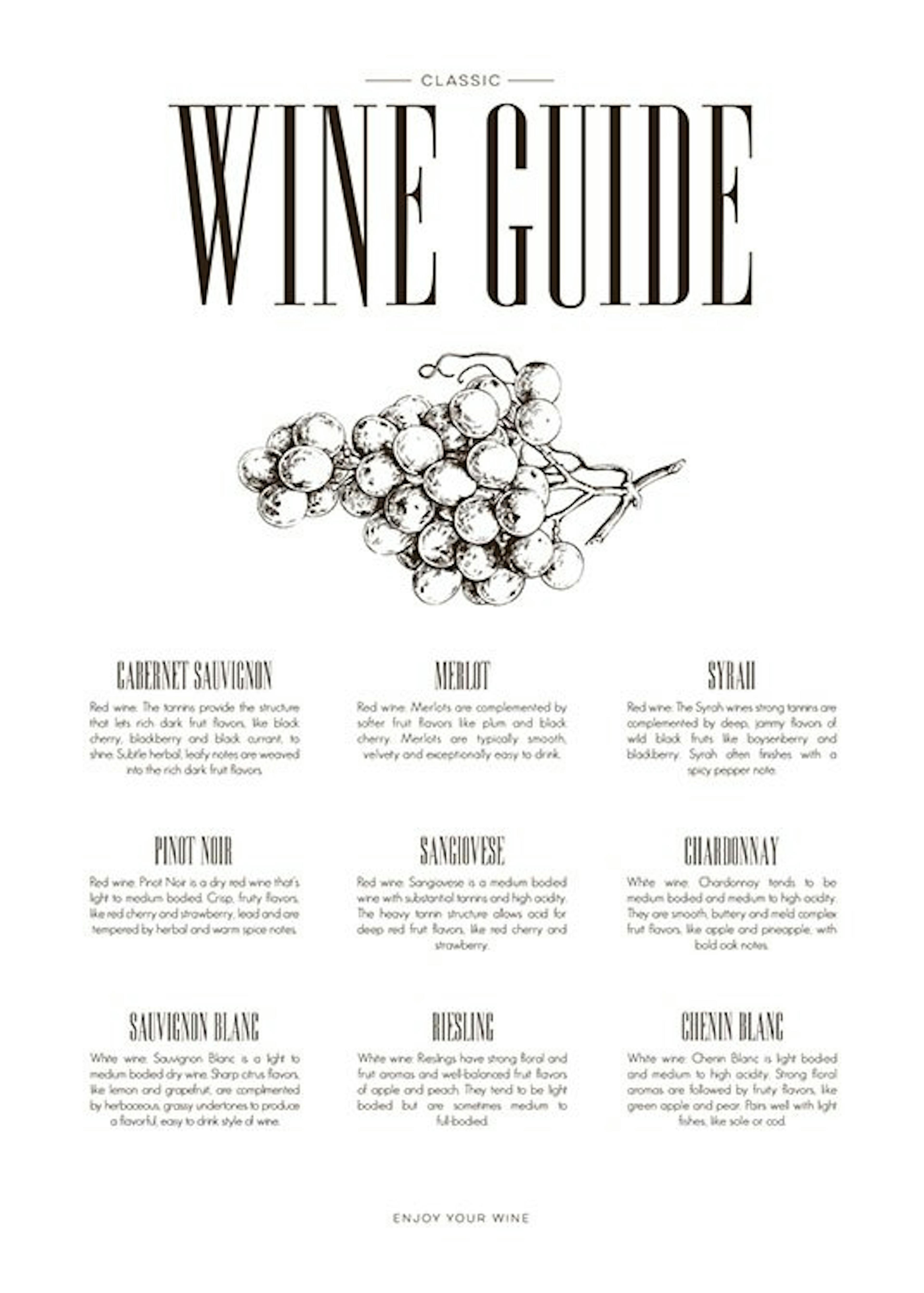 Wine Guide, Affiche 0
