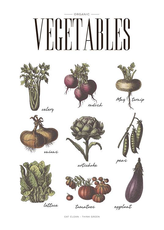 Poster per la cucina con verdure  Manifesti e poster per la cucina 