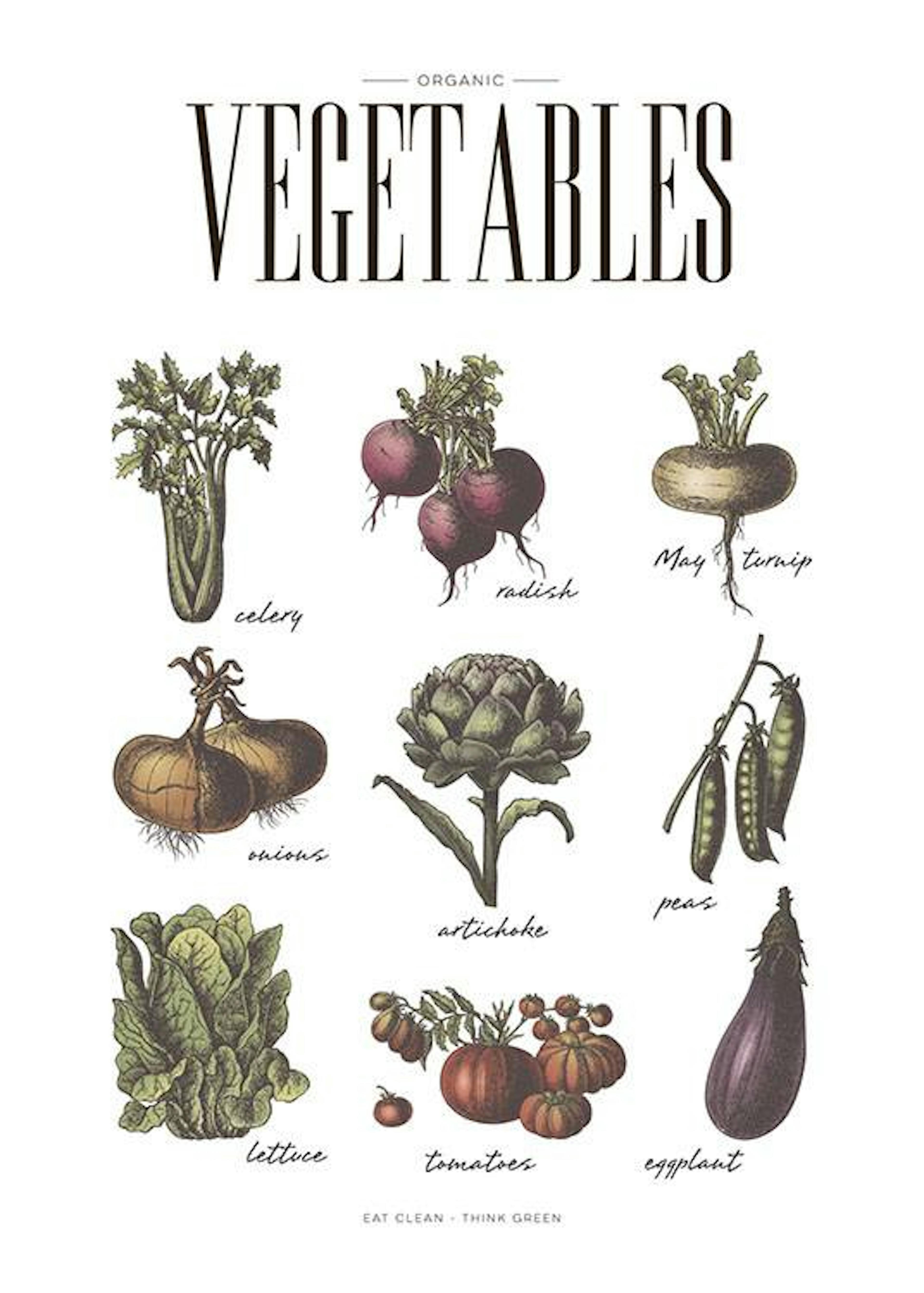 Vegetables, 포스터