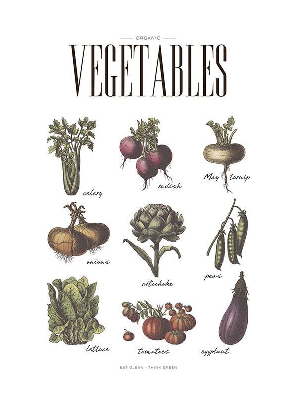 Vegetables, Plakat (50x70 cm)- Plakaty do kuchni
