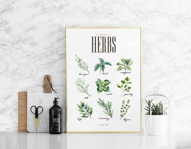 Kitchen art with herbs, stylish kitchen prints online