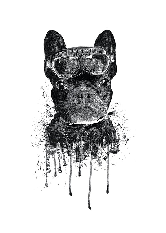 Børneplakater med dyr og hunde, sort-hvid plakat med bulldog