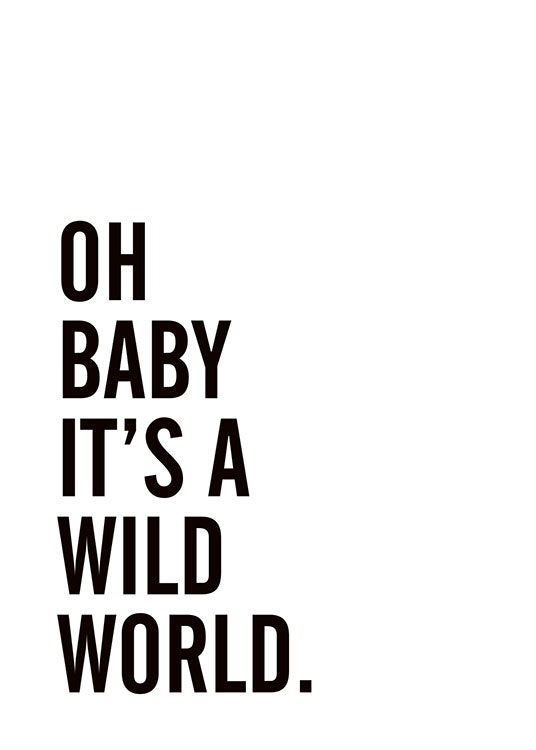 Wild World, Poster 0