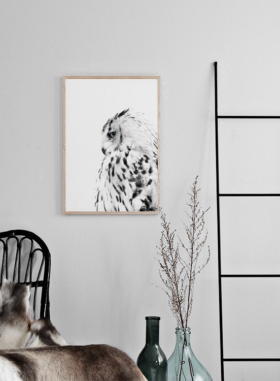 Plakát s fotografií sovy pro interiéry ve skandinávském stylu