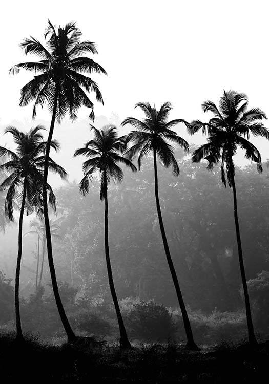 Palm Trees, Plakat 0