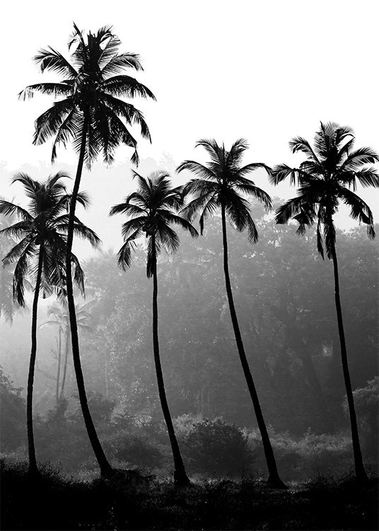Tavla med palmer, 50x70