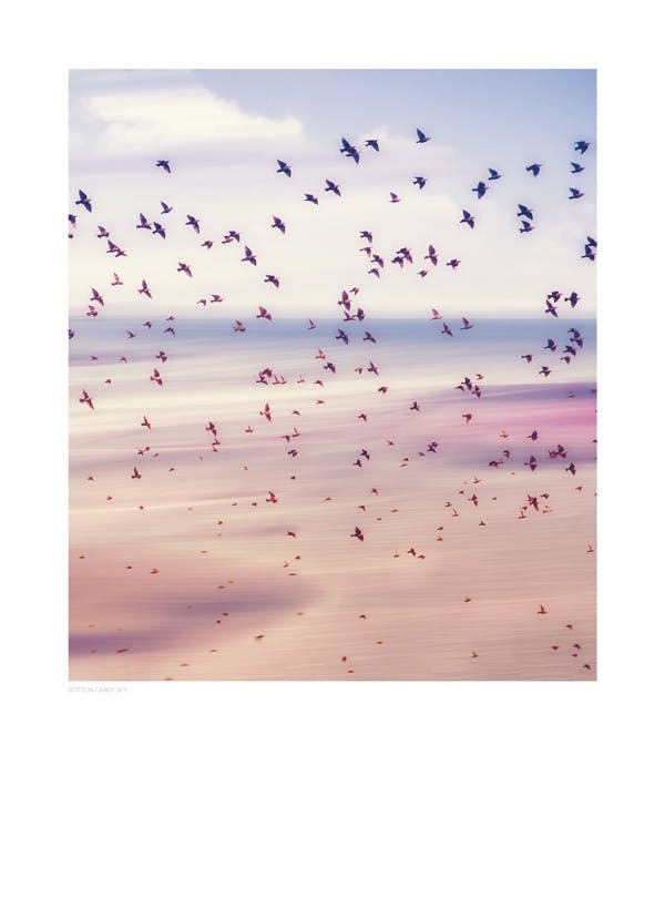 Prints - Cotton Candy Sky, Print (50x70 cm) - Nature prints