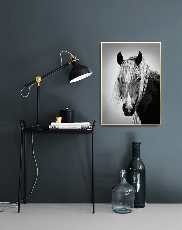 Posters och tavlor med hästar. Svartvit fotokonst online.