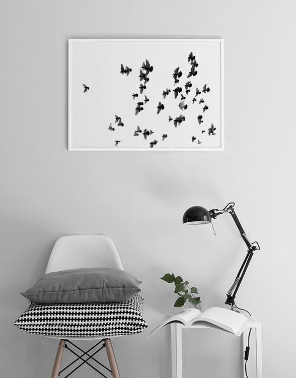 Cuadros con fotografías artísticas en línea. Pósters y print de pájaros.