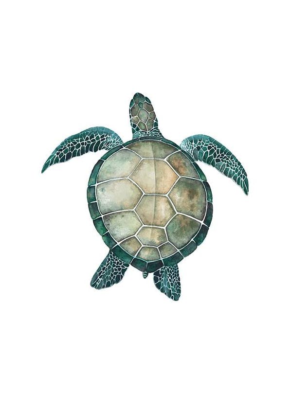 Sea Turtle Poster (30x40 cm)