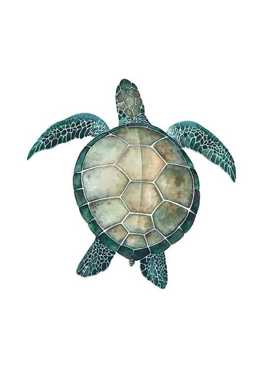 Tavlor online med djur och natur. Sköldpaddstavla.