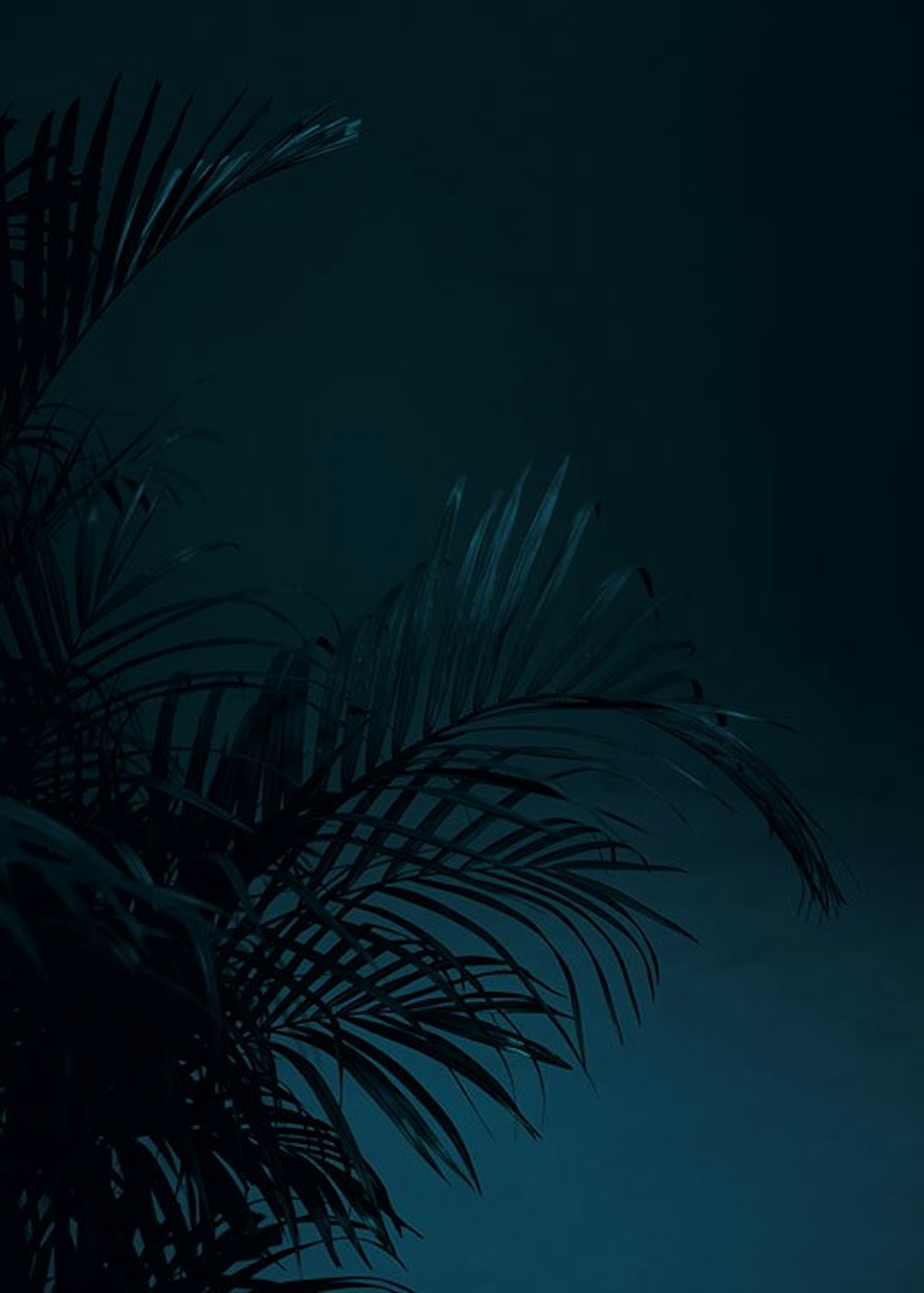 Product image: 1