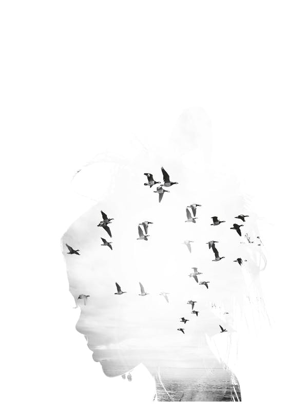 Girl Silhouette Plakat (30x40 cm)- Czarno-białe plakaty
