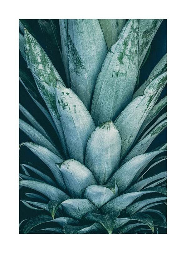 Pineapple Crown Poster (21x30 cm) -  Bilder für die Küche