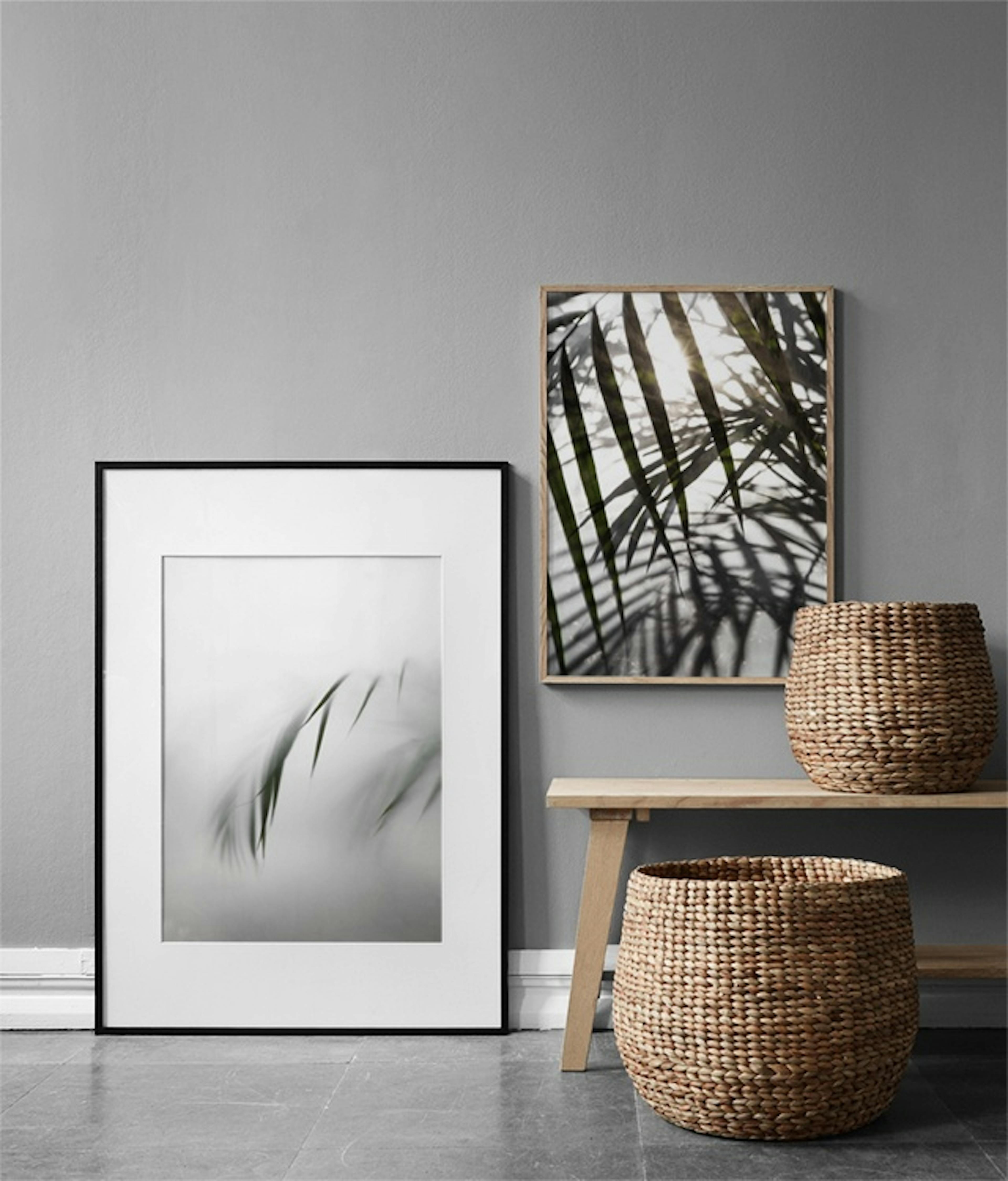 Palm Leaves Sunlight Poster