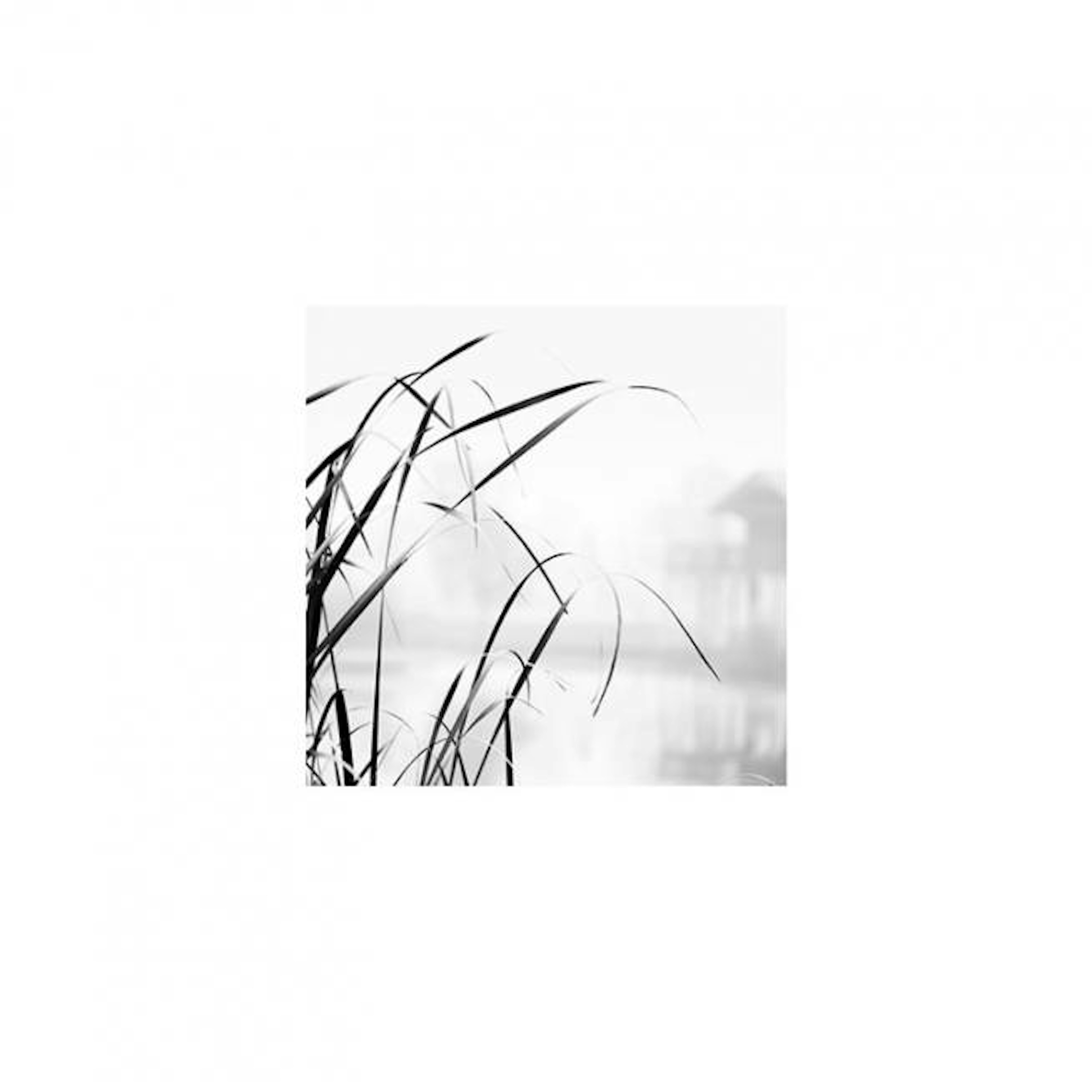 Product image: 1
