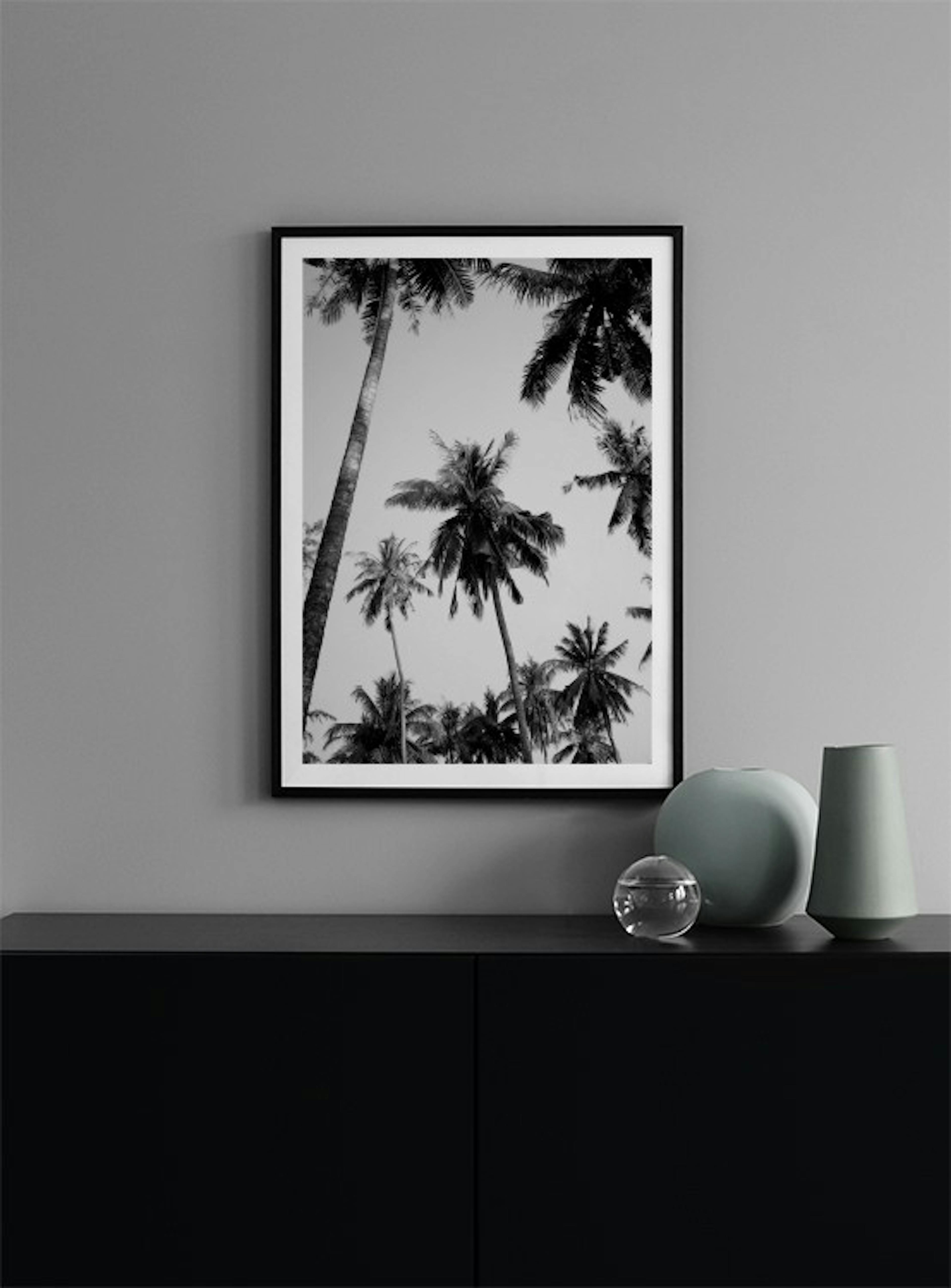 Palms Above Print