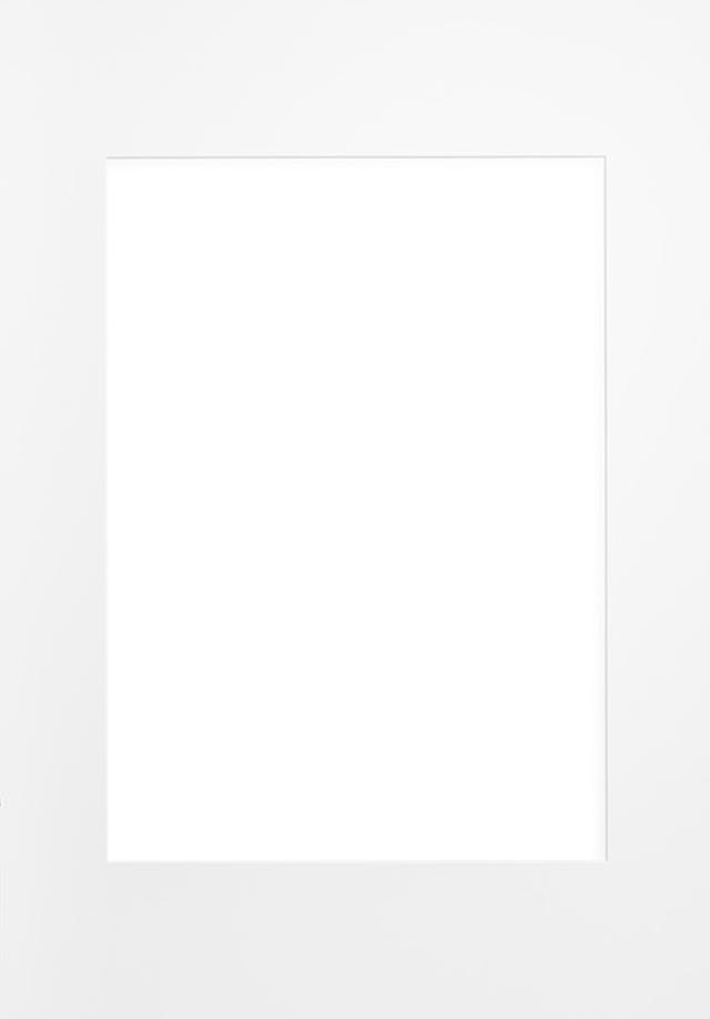 Large picture frames 70x100cm / 28x39' large frames Desenio.ie