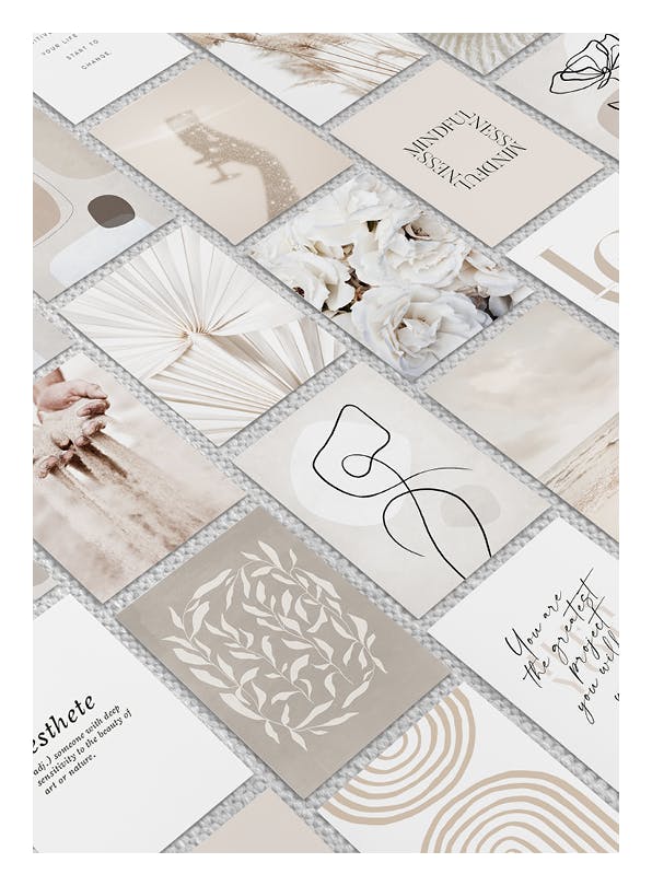 Elegance Collection (ONE SIZE)
