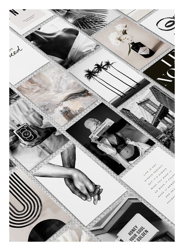 Iconic Collection (ONE SIZE)
