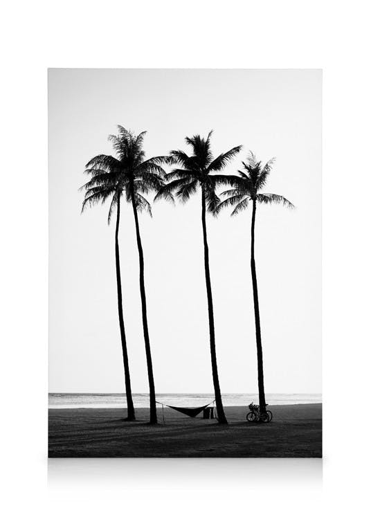 Canvastavlor Palm Trees on Beach Canvastavla (50x70 cm - Ekram)