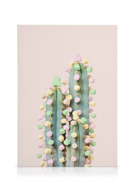 Canvas Prints Candy Cactus Canvas print (30x40 cm - Black Frame)