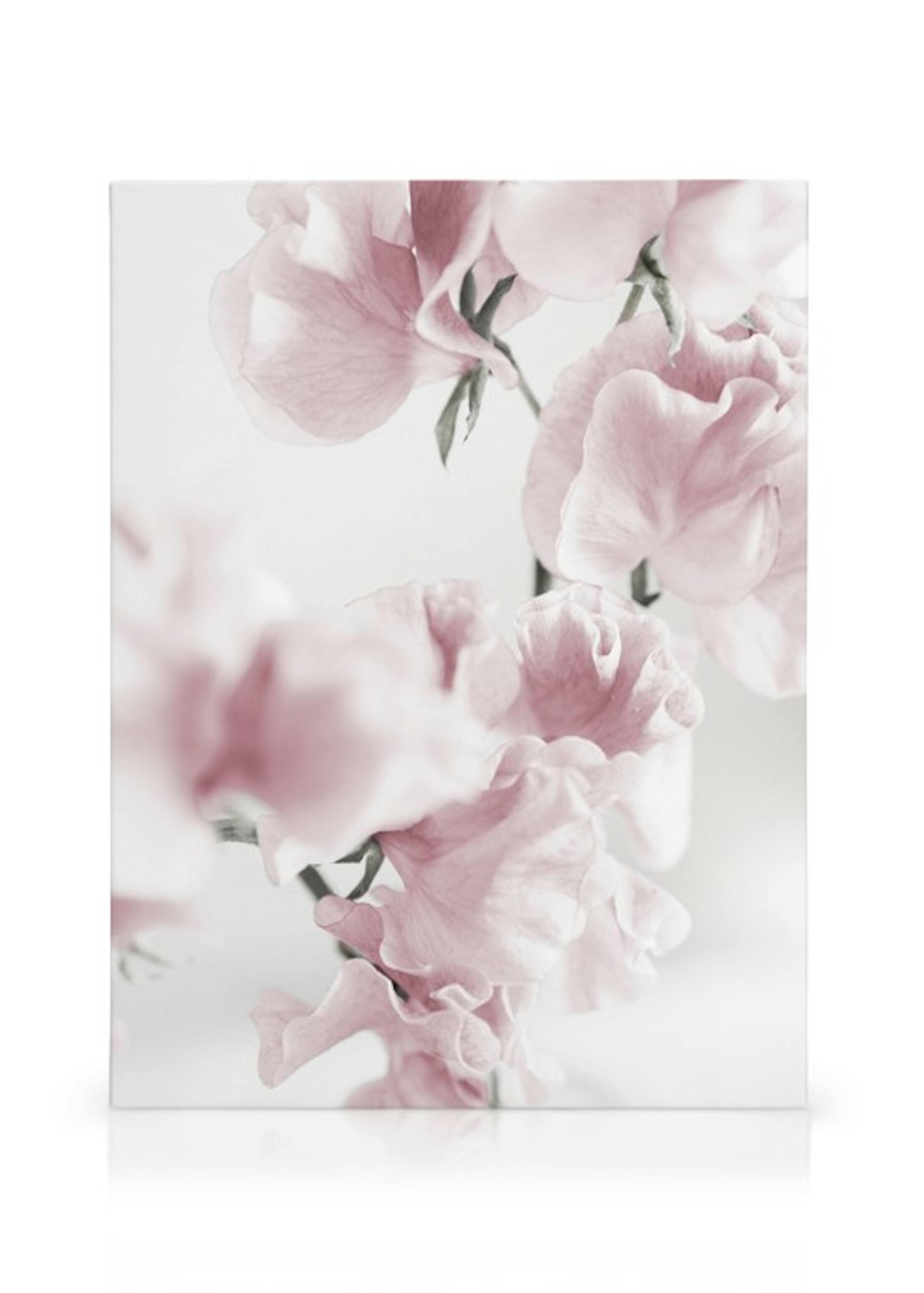 Product image: 1