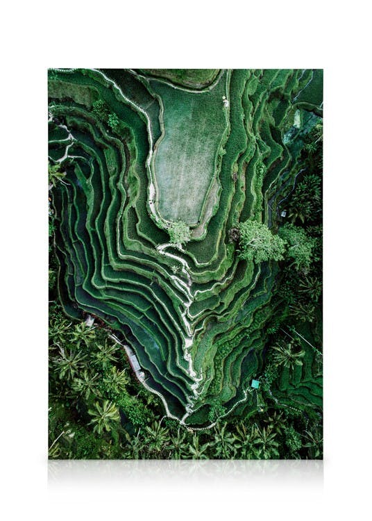 Canvas Prints Rice Terraces Canvas print (50x70 cm - Black Frame)