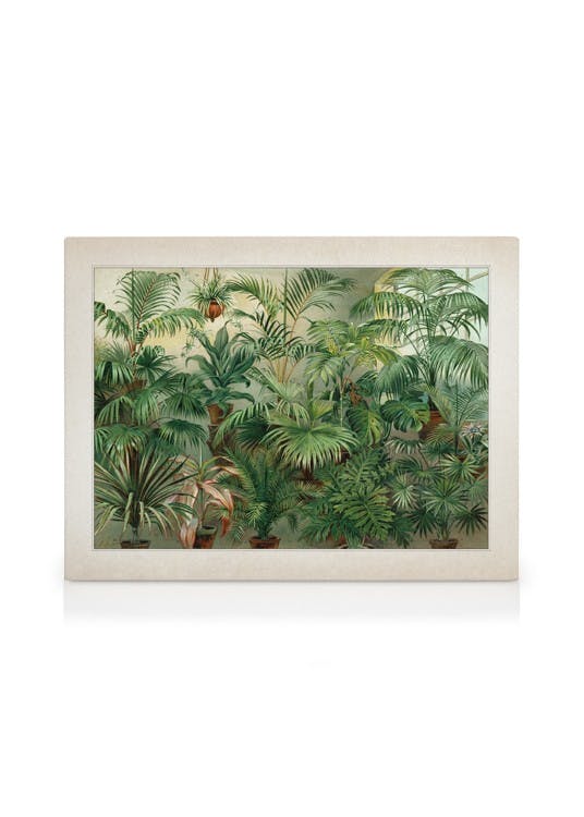 Telas decorativas Vintage Print Collection No8 Quadro em tela (50x70 cm)