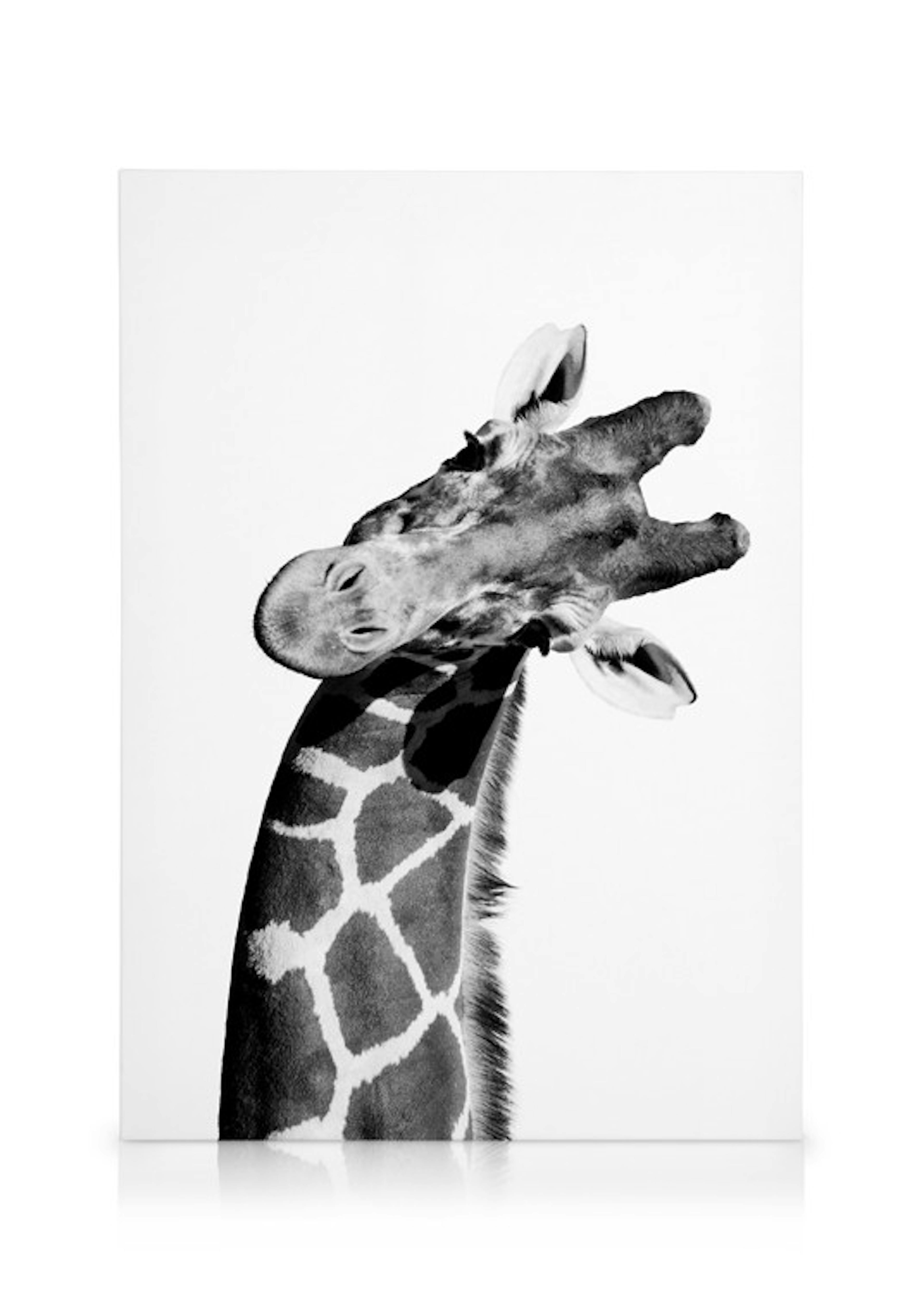 Giraffe Portrait Lienzo 0