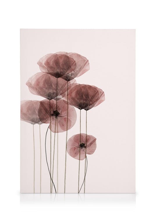 Obrazy na płótnie Poppy Bunch Obraz na płótnie (30x40 cm - Czarna ramka)