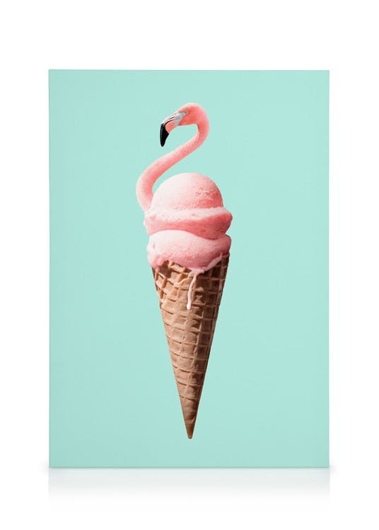 Canvas Schilderijen Jonas Loose - Flamingo Cone Canvas (30x40 cm)